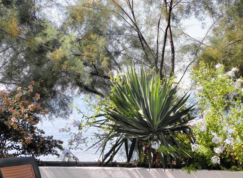 Beach Guesthouse Mediteran Podstrana Ruang foto